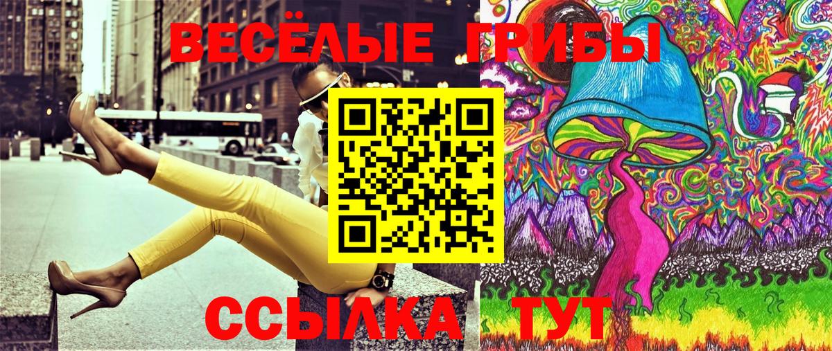 Кириши  Галлюциногенные грибы MAGIC MUSHROOMS  Вход с VPN 