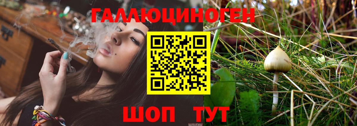 Галлюциногенные грибы Psilocybine cubensis Кириши